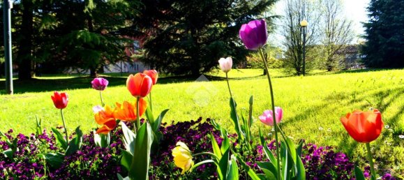 Garaje de 1 habitación en Cusago, Italy No. 146264 2