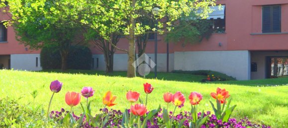 Garaje de 1 habitación en Cusago, Italy No. 146264 7