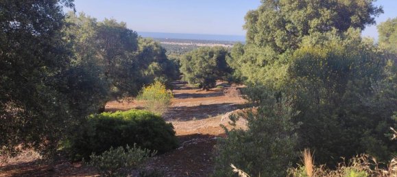 Terrain à Fasano, Italy 13300m² No. 193918 10