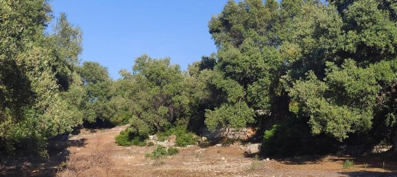 Terrain à Fasano, Italy 13300m² No. 193918 24