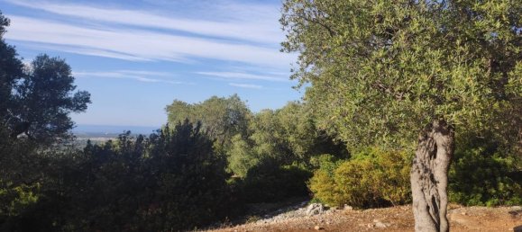 Terrain à Fasano, Italy 13300m² No. 193918 31