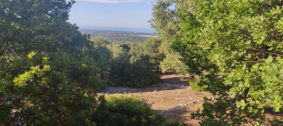 Terrain à Fasano, Italy 13300m² No. 193918 27