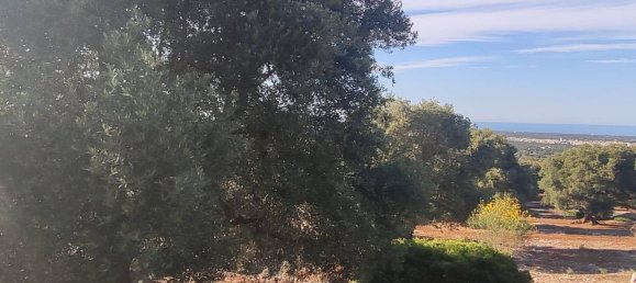 Terrain à Fasano, Italy 13300m² No. 193918 14