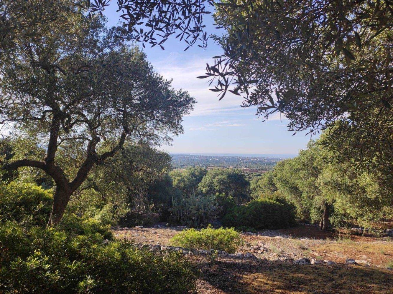 Terrain à Fasano, Italy 13300m² No. 193918