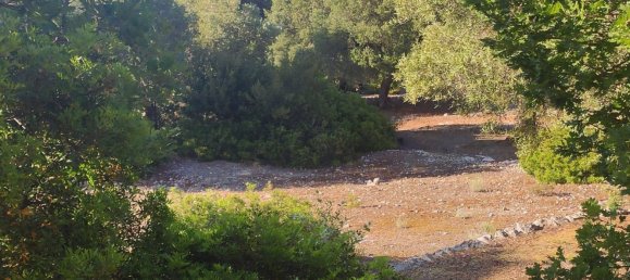 Terrain à Fasano, Italy 13300m² No. 193918 28