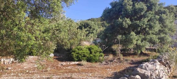 Terrain à Fasano, Italy 13300m² No. 193918 25