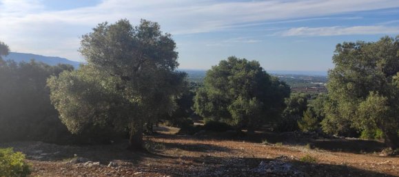 Terrain à Fasano, Italy 13300m² No. 193918 7