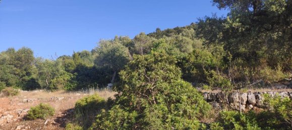 Terrain à Fasano, Italy 13300m² No. 193918 2