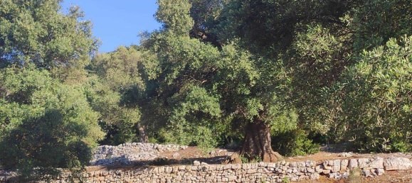 Terrain à Fasano, Italy 13300m² No. 193918 33