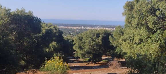 Terrain à Fasano, Italy 13300m² No. 193918 12