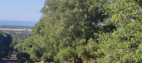 Terrain à Fasano, Italy 13300m² No. 193918 11