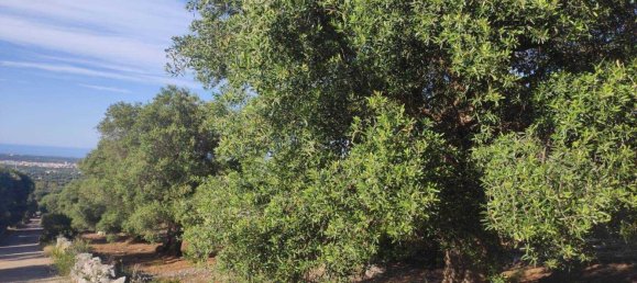 Terrain à Fasano, Italy 13300m² No. 193918 9