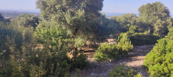 Terrain à Fasano, Italy 13300m² No. 193918 16