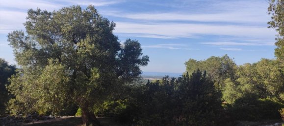 Terrain à Fasano, Italy 13300m² No. 193918 6