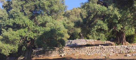 Terrain à Fasano, Italy 13300m² No. 193918 23