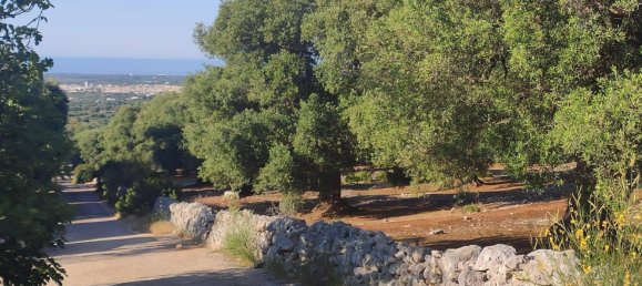 Terrain à Fasano, Italy 13300m² No. 193918 18