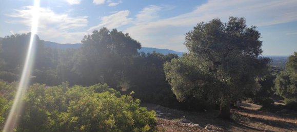 Terrain à Fasano, Italy 13300m² No. 193918 30