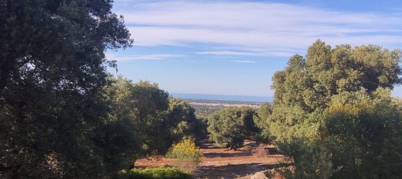 Terrain à Fasano, Italy 13300m² No. 193918 13