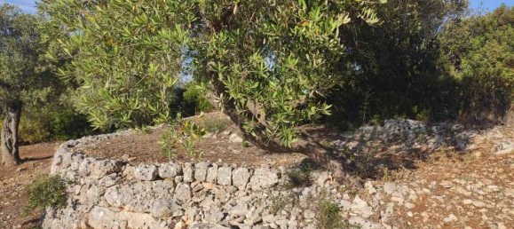 Terrain à Fasano, Italy 13300m² No. 193918 8