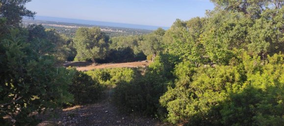 Terrain à Fasano, Italy 13300m² No. 193918 32