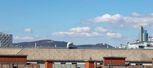 3-Zimmer Penthouse in Leopoldstadt, Austria, Nr. 165447 12