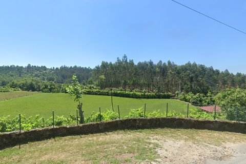 19860m² Land in Vieira do Minho, Portugal No. 328773