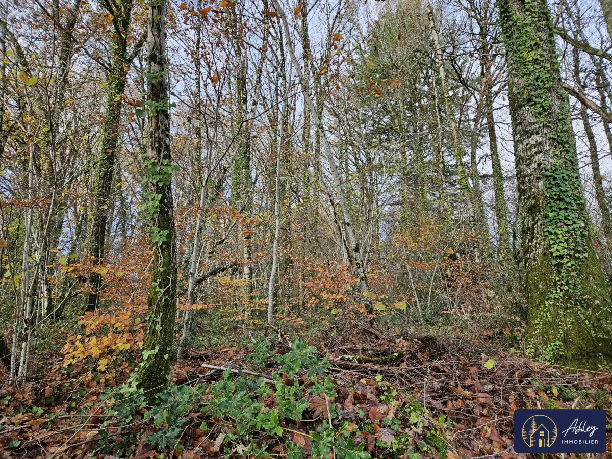 Terreno em Neuvic, France 7950 m² N.º 97264