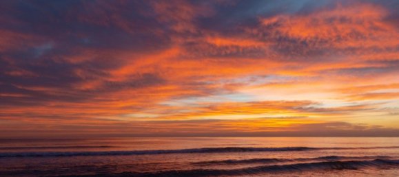 2 bedrooms Apartment in Mil Palmeras, Spain No. 94501 14