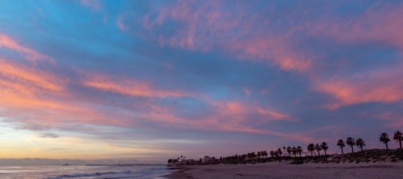 2 bedrooms Apartment in Mil Palmeras, Spain No. 94501 11