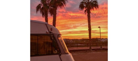 2 bedrooms Apartment in Mil Palmeras, Spain No. 94501 13