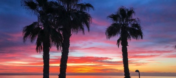 2 bedrooms Apartment in Mil Palmeras, Spain No. 94501 19