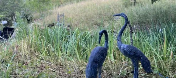 Casa de 3 dormitorios en Main-Spessart, Germany No. 228683 5