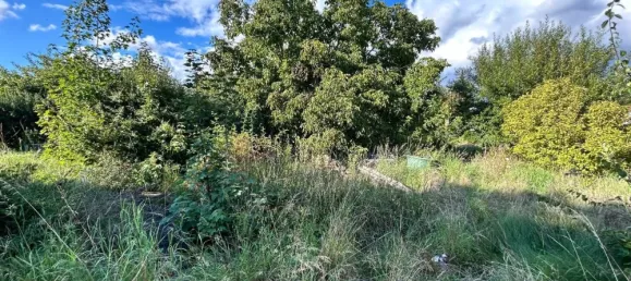  Land in Markisch-Oderland, Germany No. 352660 5