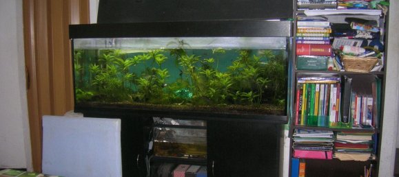 5-salle Maison à Castelbellino, Italy No. 159359 10