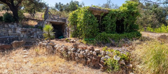 Terreno de 2 dormitorios en Vila do Bispo, Portugal No. 280790 12