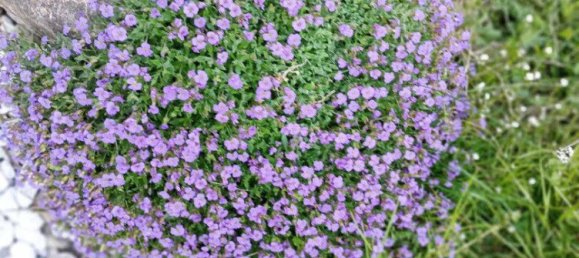 2 bedrooms Apartment in Konstanz, Germany No. 217615 16