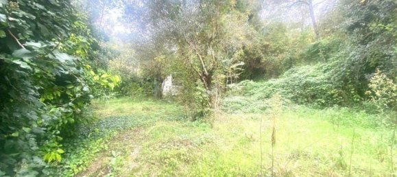3 rooms Villa in Sant'Elia Fiumerapido, Italy No. 165457 14