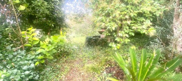 3 rooms Villa in Sant'Elia Fiumerapido, Italy No. 165457 15