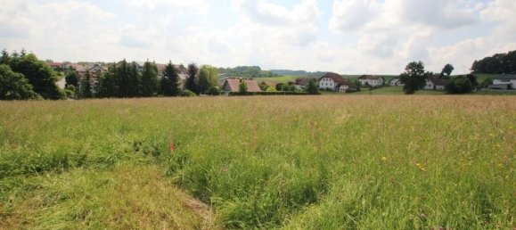  Land in Raab, Austria No. 205056 3