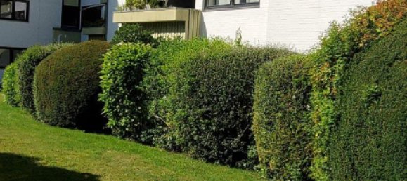 2 rooms Apartment in Neumunster, Germany No. 293872 4