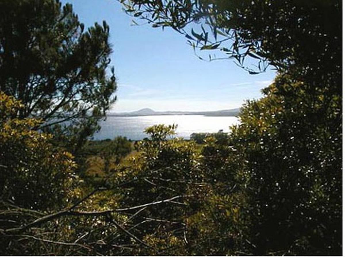  قطعة أرض في Maldonado, Uruguay رقم 16019