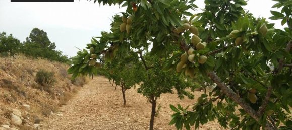 Grundstück in Monovar, Spain, Nr. 164649 6