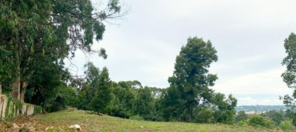 Grundstück in Sintra, Portugal 8385m², Nr. 95584 3