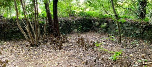 Grundstück in Sintra, Portugal 8385m², Nr. 95584 7