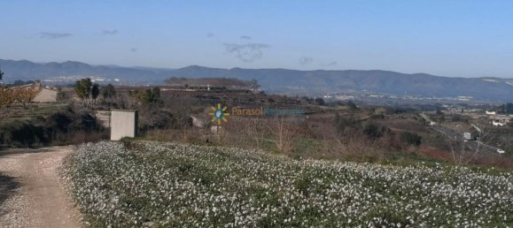 Terrain à Valencia, Spain 6880m² No. 158207 4