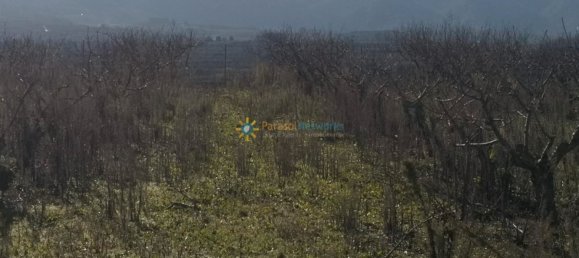 Terrain à Valencia, Spain 6880m² No. 158207 3