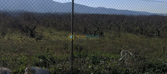 Terrain à Valencia, Spain 6880m² No. 158207 2