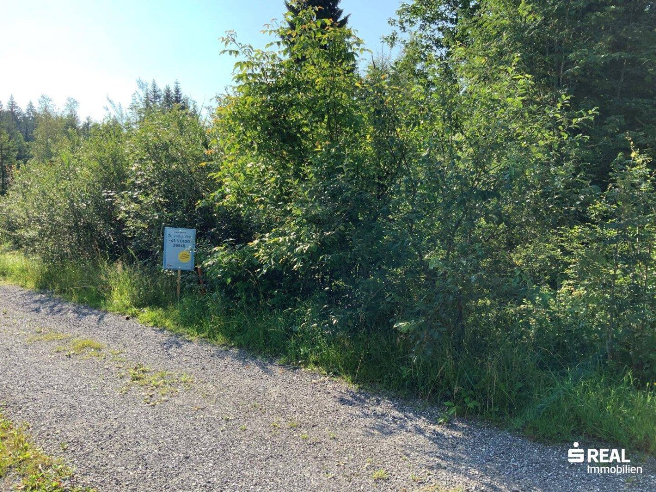 Земельный участок 566м² в Эгг, Австрия № 100645