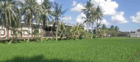  Land in Kediri, Indonesia No. 35 3