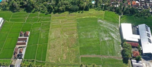  Land in Kediri, Indonesia No. 35 5